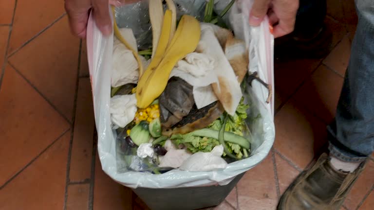  Willowick, OH Junk Removal Services Pros